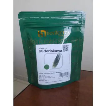 SEMENTE CEBOLINHA MIDORIAKAWA-IMP-100GR