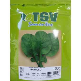 Semente Rucula BARROCO Pcte 100GR