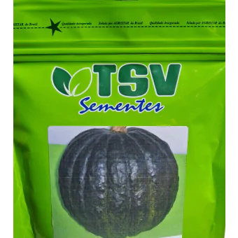 Semente Abobora HIBRIDA KANDA F1  TSV 100 g