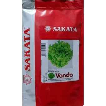 Semente Alface CRESPA VANDA Peletizada - 7500sem. SAKATA