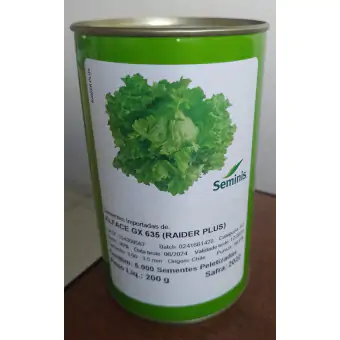 Semente Alface RAIDER PLUS 5000sem. Seminis