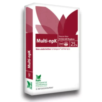 Nitrato Potassio 13-02-44 25Kg