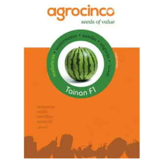 Semente Melancia HIBRIDA TAINAN - 1M