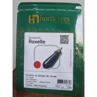 Semente Berinjela HIBRIDA ROXELLE - 1MX