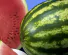 314a546b-33f0-43b6-aa19-57dd315734f7.png