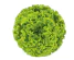 54a41eaa-92c2-4185-be39-db3bdec25b8c.png