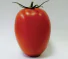 717034bc-dc1c-4003-a119-8484858f7a70.png