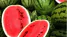 7b9fcded-fd6f-4e5c-9f83-fd1bab56780f.png
