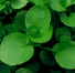 a87d1a7b-441a-47cc-8ff6-7278accb5274.png