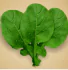 bb1e5515-06f0-4a25-90fa-c2d019f2078f.png