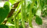 d37c9ce2-5241-4290-ba10-2c31071f73ba.png