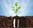f5ae22a2-656d-4dbc-a19b-4f6053edaa1a.png